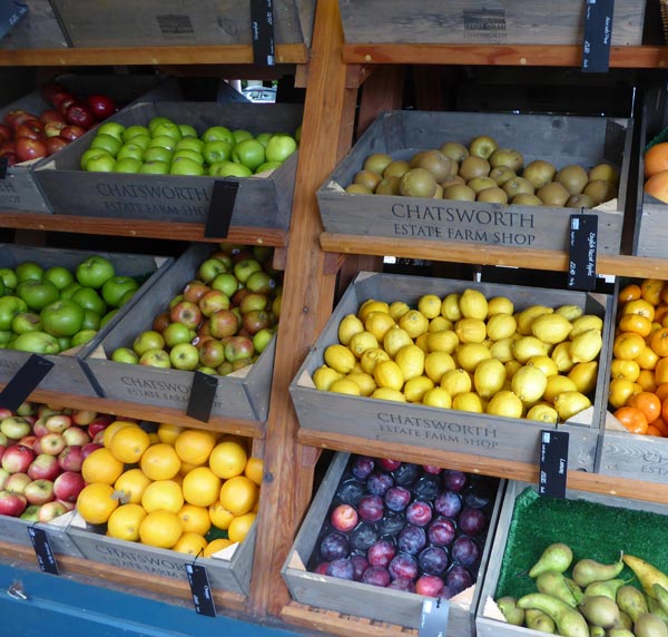 Etileno Fruta. Sistema de control ambiental de etileno. Sercalia