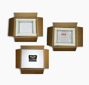 Thermal boxes. PU container. Thermal insulated box. Sercalia