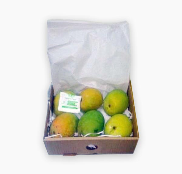 Ethylene fruits. Absorbent bag. Ethylene