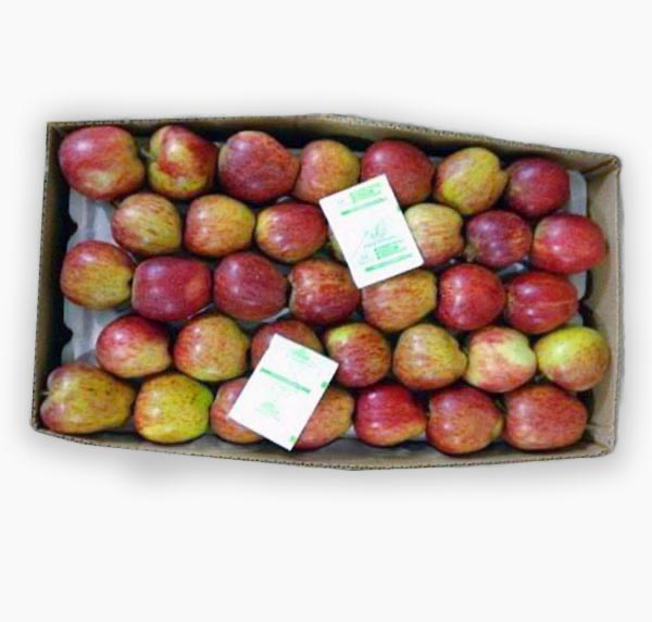 Etileno. Bolsas absorbentes de etileno. Etileno fruta. Sercalia